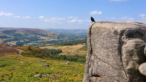This landscape photograph was taken in the afternoon during the summer, and features a prominent rock formation known as Millstone Edge in the Hope Valley, situated within the Longshaw Estate in the Peak District of England, United Kingdom. Atop the weathered rocks, a raven is perched, illustrating the presence of animals and birds native to this region. The expansive view captures the patchwork fields and hills that are characteristic of the Peak District, with the lush greenery and distant villages visible beneath a bright blue sky dotted with clouds. The image highlights the natural beauty of the Hope Valley and provides a sense of the rich wildlife, including ravens, which thrive in the scenic and historic landscape of the Longshaw Estate.